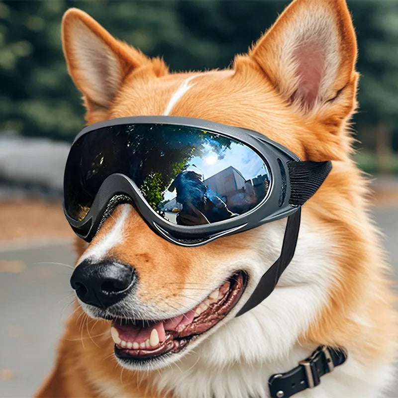 Occhiali antivento in plastica per cani