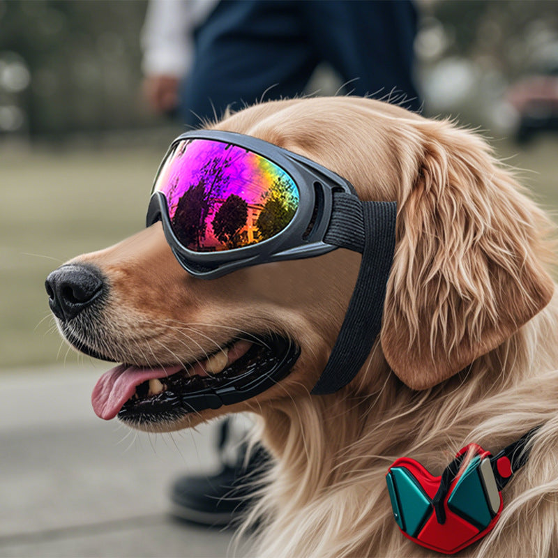 Occhiali antivento in plastica per cani