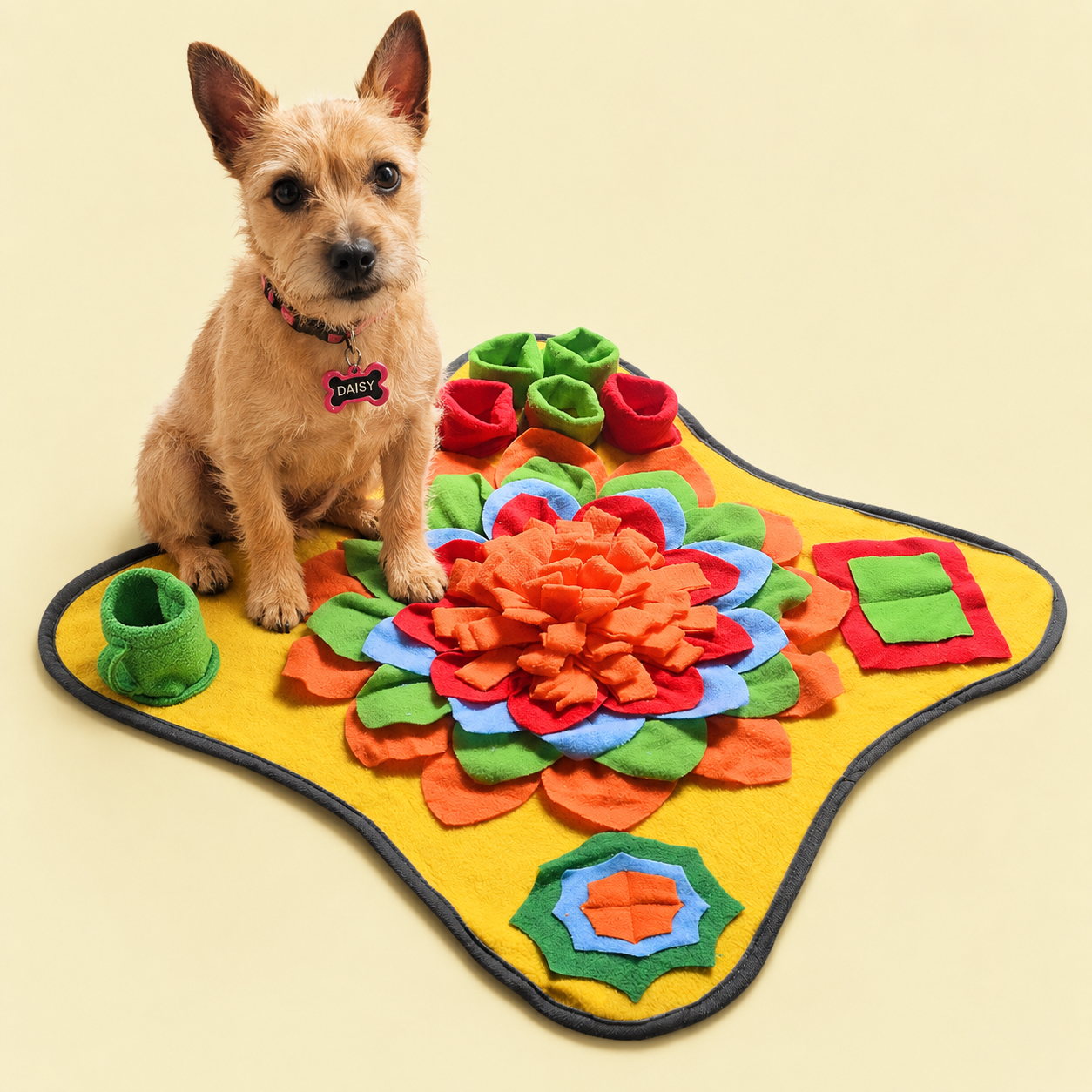 Tappetino olfattivo per animali domestici – Puzzle per addestramento cani